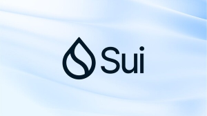 수이(SUI) 코인의 역사, 특징, 미래 전망, 투자 포인트