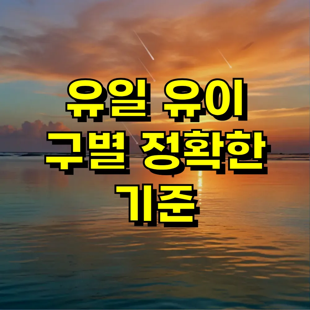 유일 유이 구별 정확한 기준