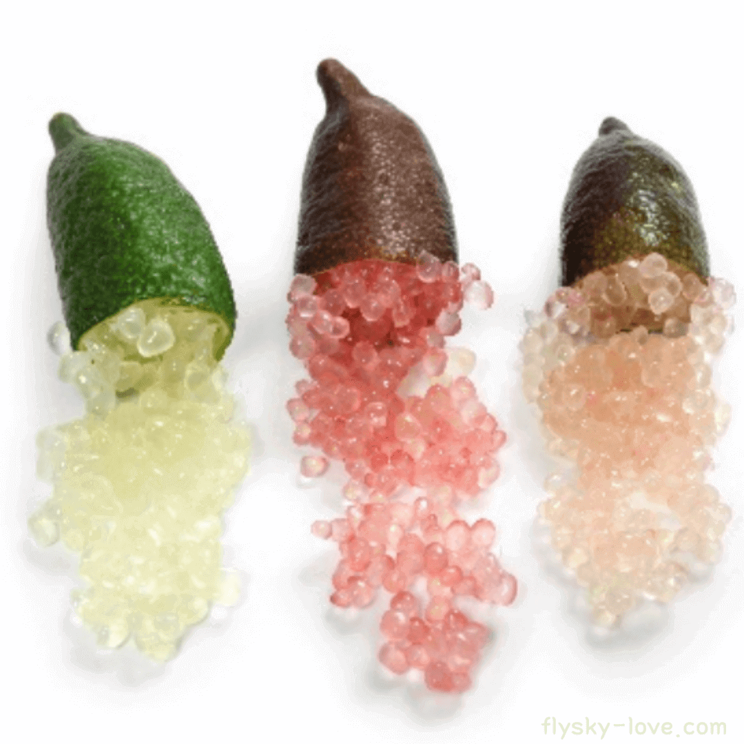 핑거라임 (Finger Lime)