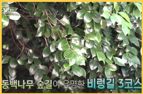 여수 금오도 비렁길 3코스