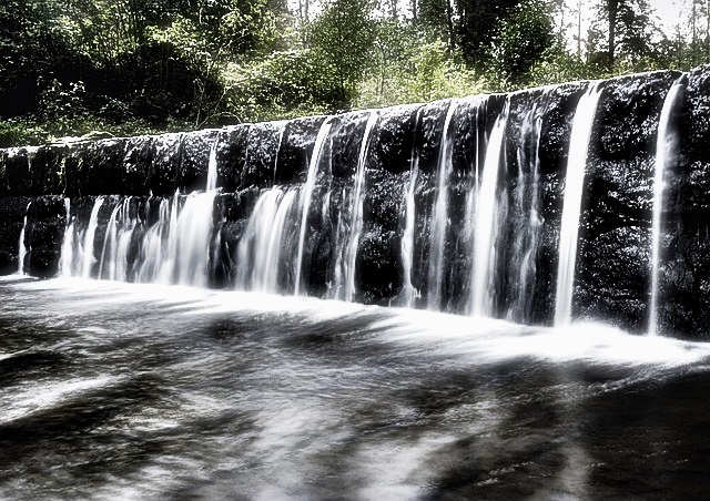 숲나들e 이용 방법