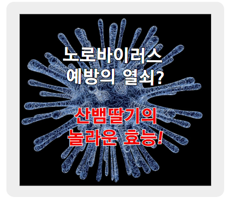 노로바이러스 예방의 열쇠? 산뱀딸기의 놀라운 효능!