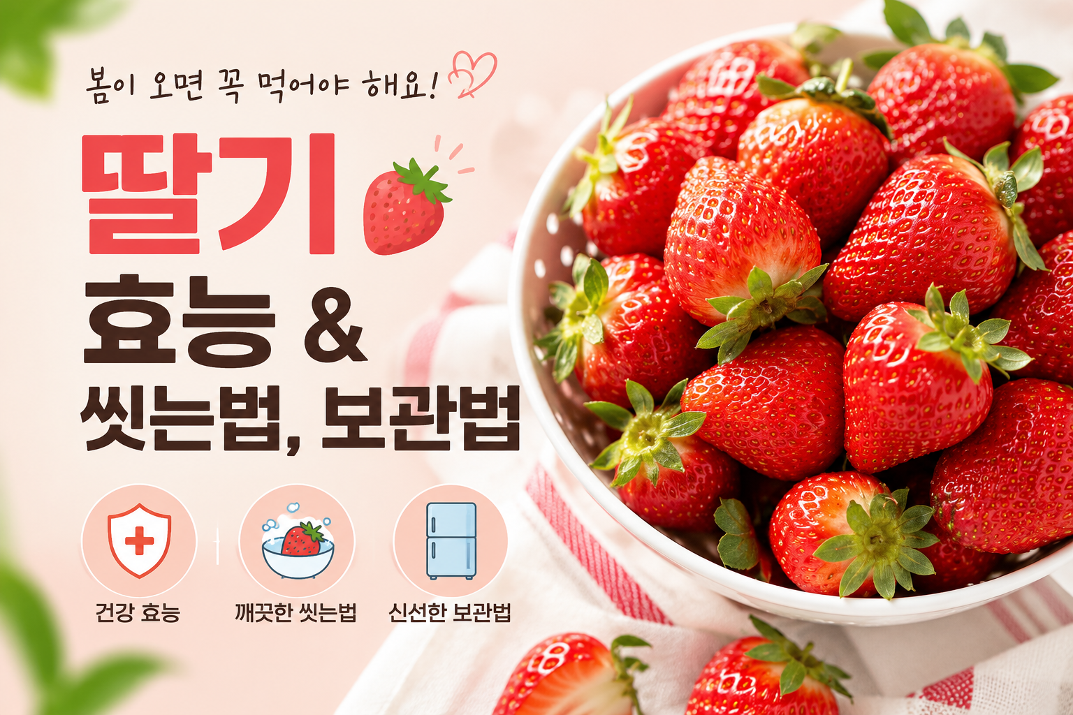 딸기 효능 및 씻는 법, 보관법