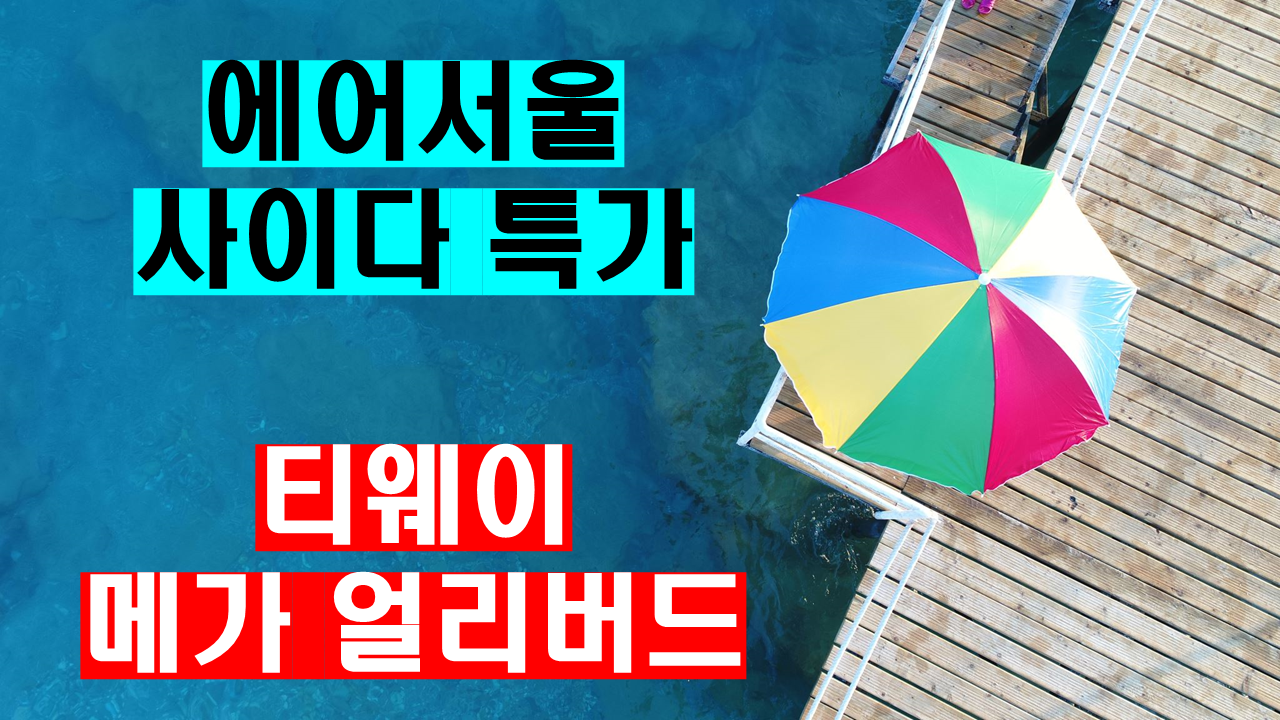 티웨이 메가얼리버드