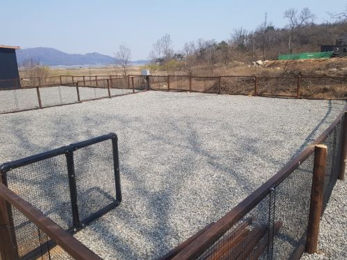 애견존