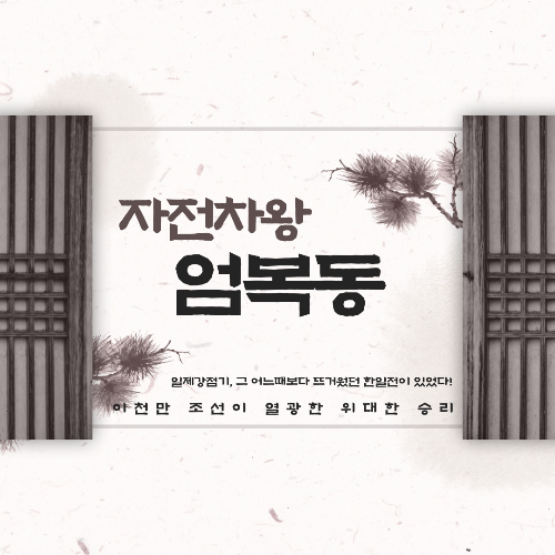 자전차왕 엄복동 줄거리 내용, 부정적인 평가, 역사와 차이