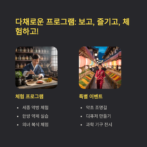 다채로운 프로그램: 보고, 즐기고, 체험하고!