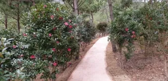 압해도 분재공원 근처 선착장에서의 낚시 농어와 도다리 포인트 소개 완벽 낚시터_2