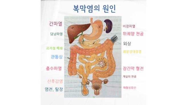 문체부 홍선옥 사무관 