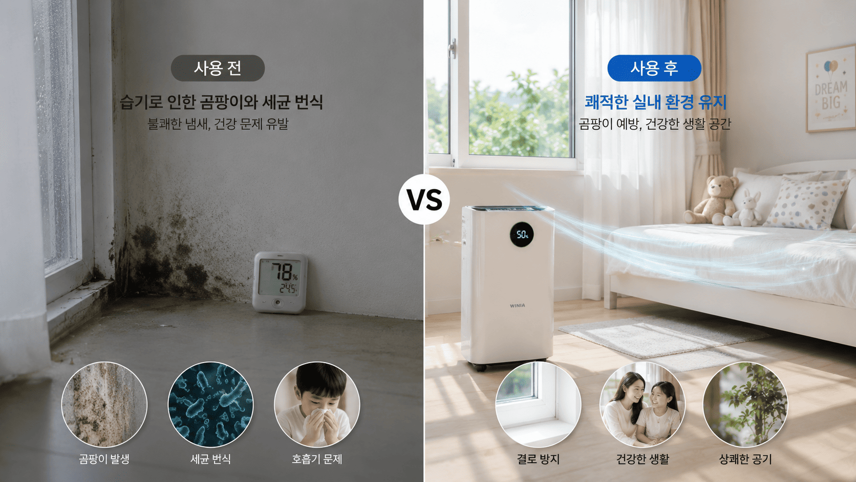 곰팡이예방을 위한 효과적인 제습 전략