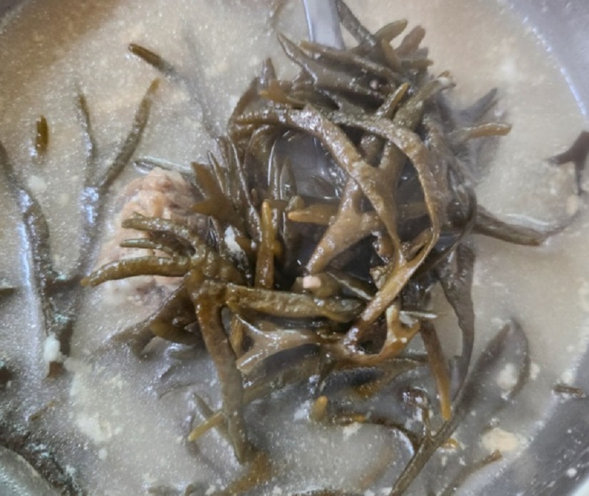 -진도-뜸부기-갈비탕