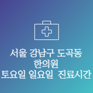 서울 강남구 도곡동 한의원 주말 토요일 일요일 문여는 병원 진료시간