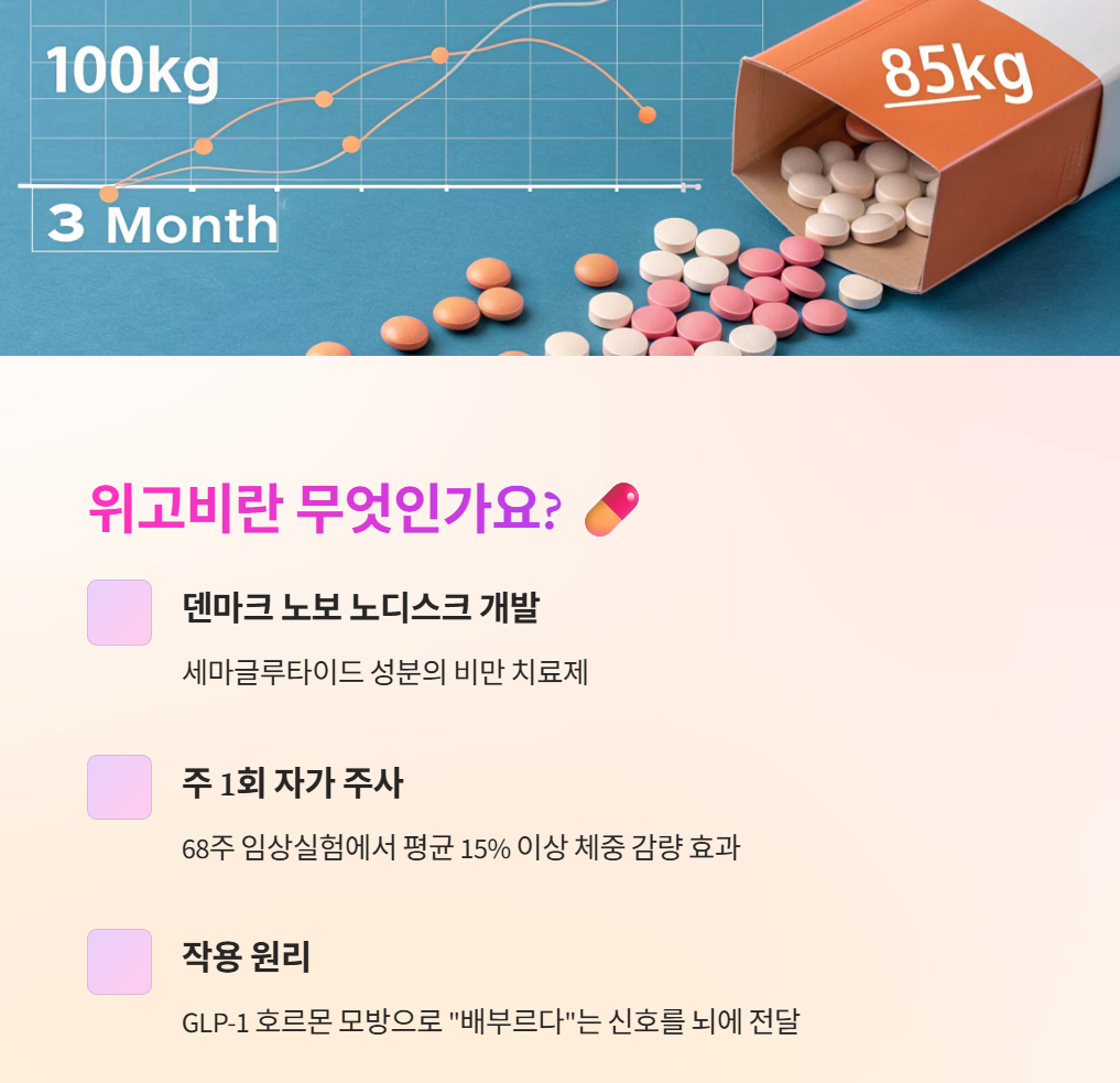 위고비에 대한 설명 인포그래픽
