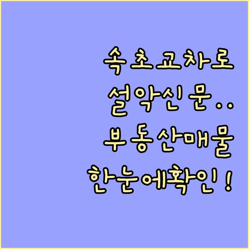속초교차로 설악신문 부동산 홈페이지 ..