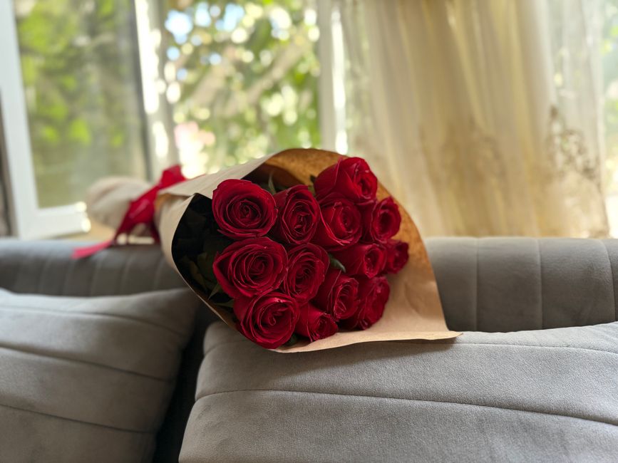 A beautiful bouquet of red roses wrapped in paper, placed on a plush gray sofa near a sunlit window.