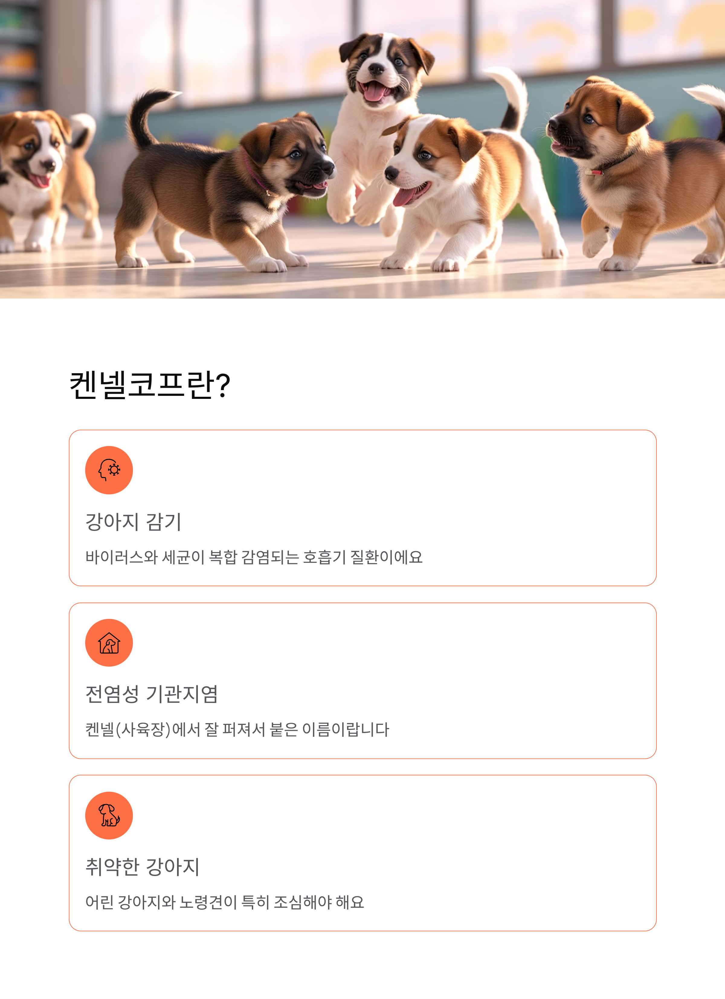 강아지 켄넬코프 증상과 치료 완벽 가이드 ❘ 우리 강아지 지키는 법