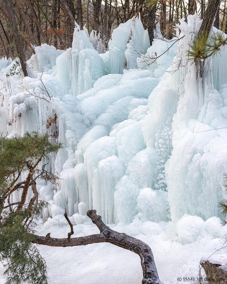 겨울 가족 여행 