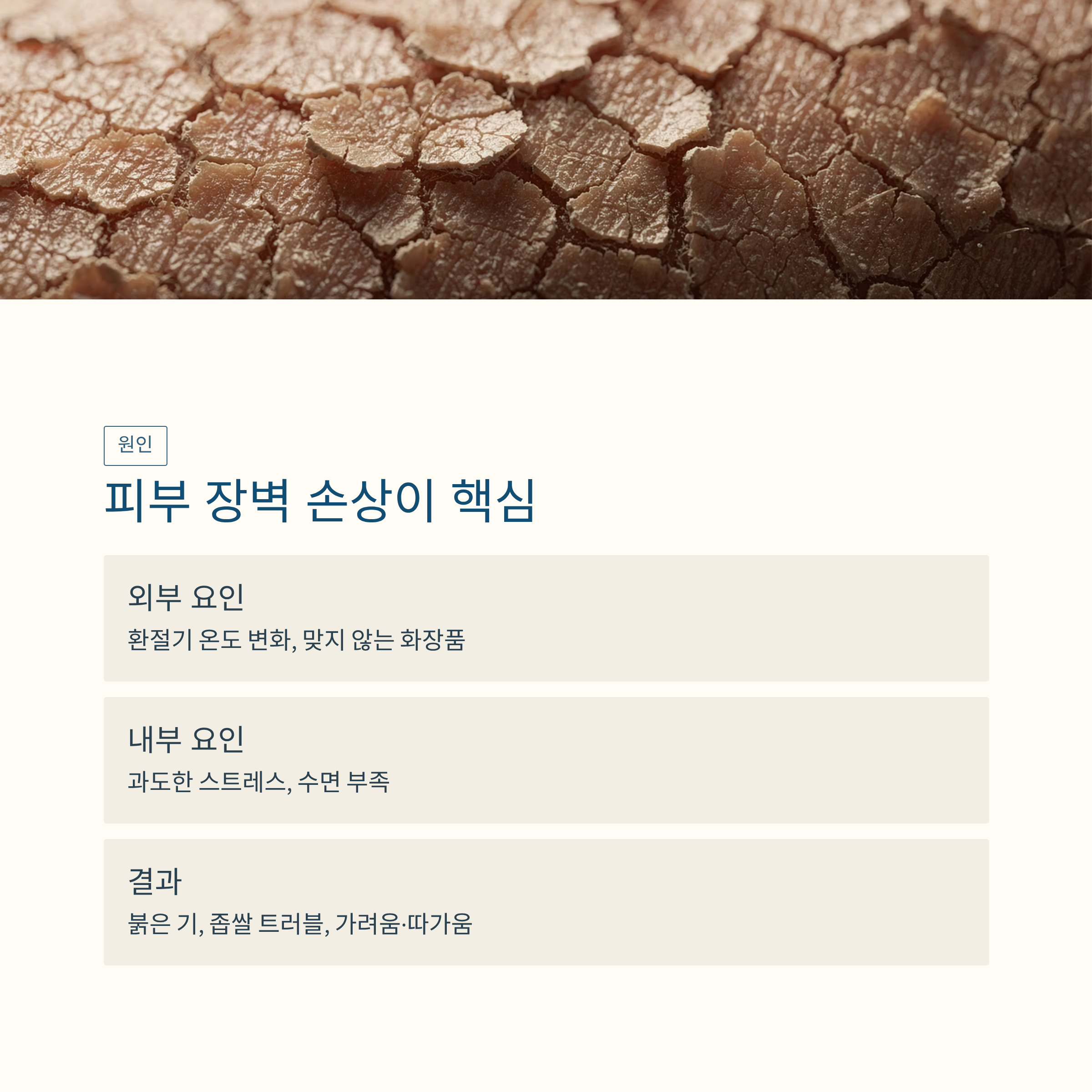 장벽 손상