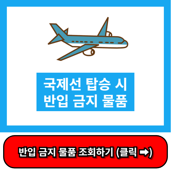 국제선 비행기 탑승 시 금지물품 조회하기