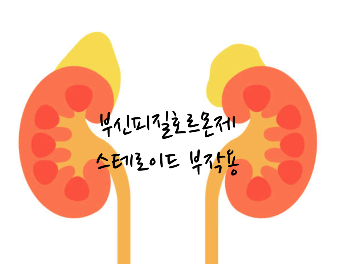 부신피질호르몬