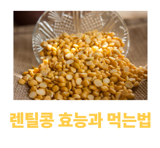 렌틸콩 효능
