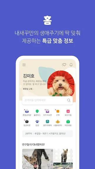 유기묘 새끼 고양이 무료 분양 어플 앱-25 유기묘 새끼 고양이 무료 분양 어플 앱-25