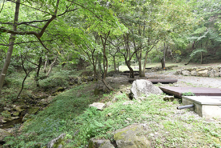 박달재 자연휴양림