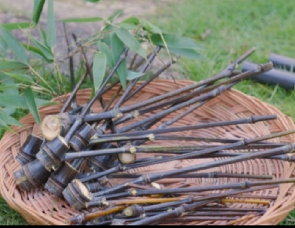 지리산-오죽차-주해수-오죽헌