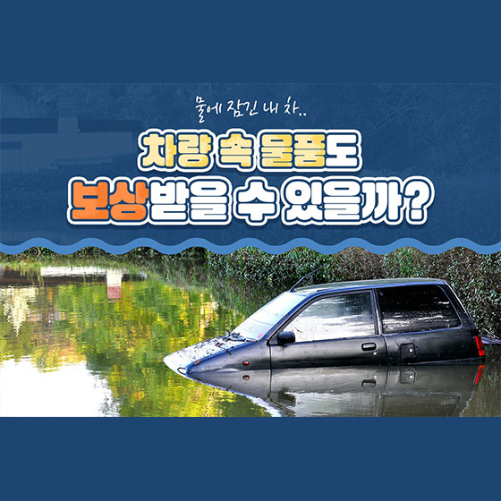 침수 시 대처 방법 & 예방 팁 📌