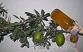 식용 아르간 오일 효능