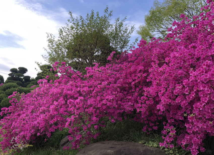그림같은 수목원