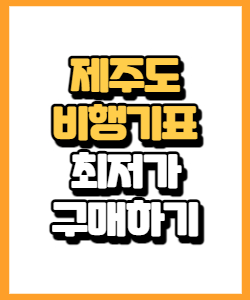 제주도 비행기표