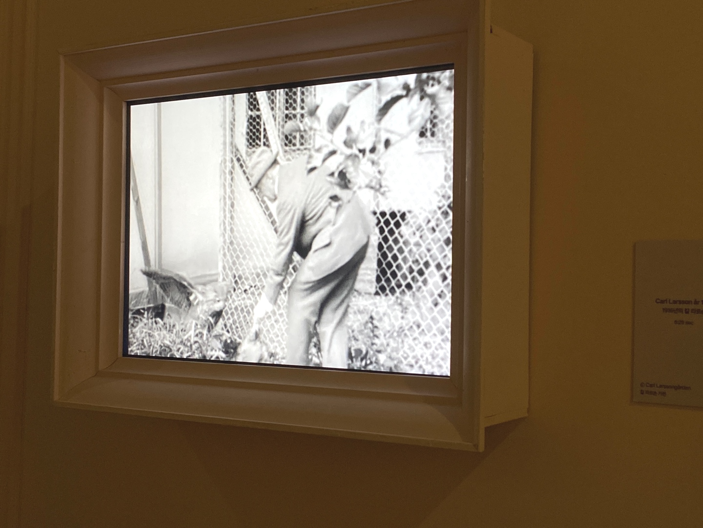 칼라르손의 흑백필름 1916년