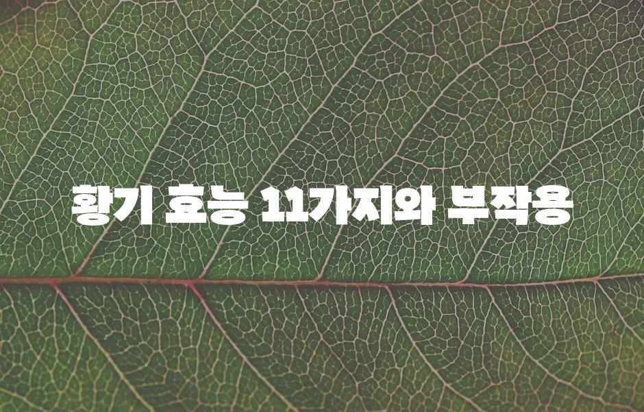 샘플 (43)