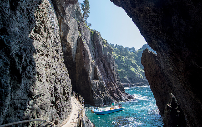 울릉도 여행 코스 총정리