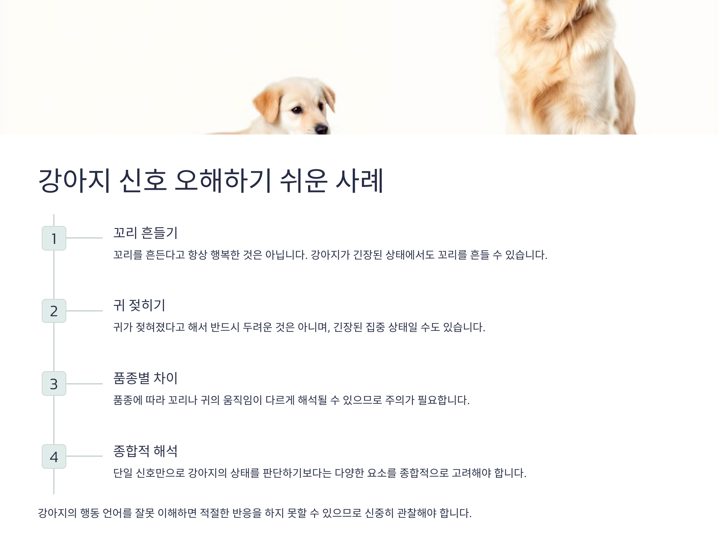 강아지 신호 오해하기 쉬운 사례