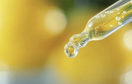 비타민 C가 풍부한 음식