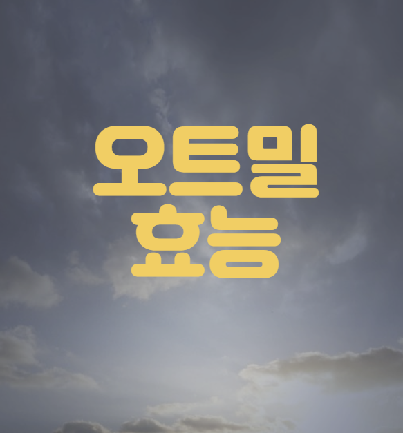 오트밀 효능
