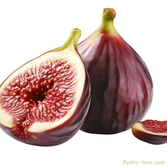 여왕의 과일 무화과