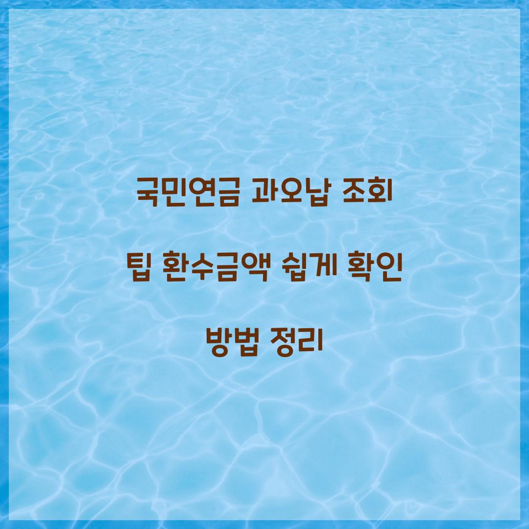 국민연금 과오납 조회