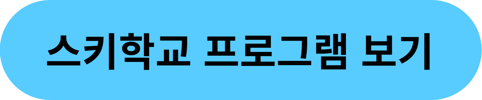 비발디파크
