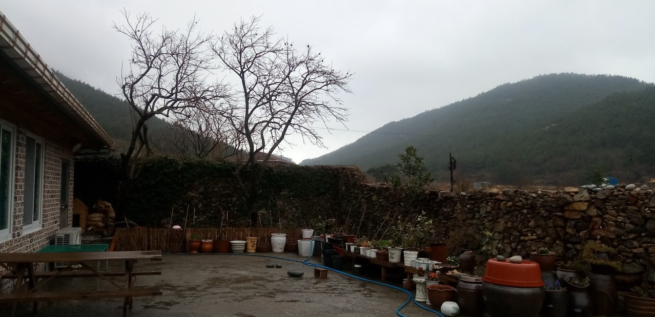 청산도 한옥 민박