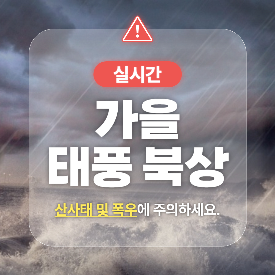 태풍경로 사올라 담레이 하이쿠이 현재위치 실시간