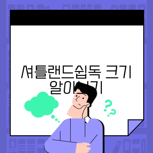 셔틀랜드쉽독 크기 알아보기