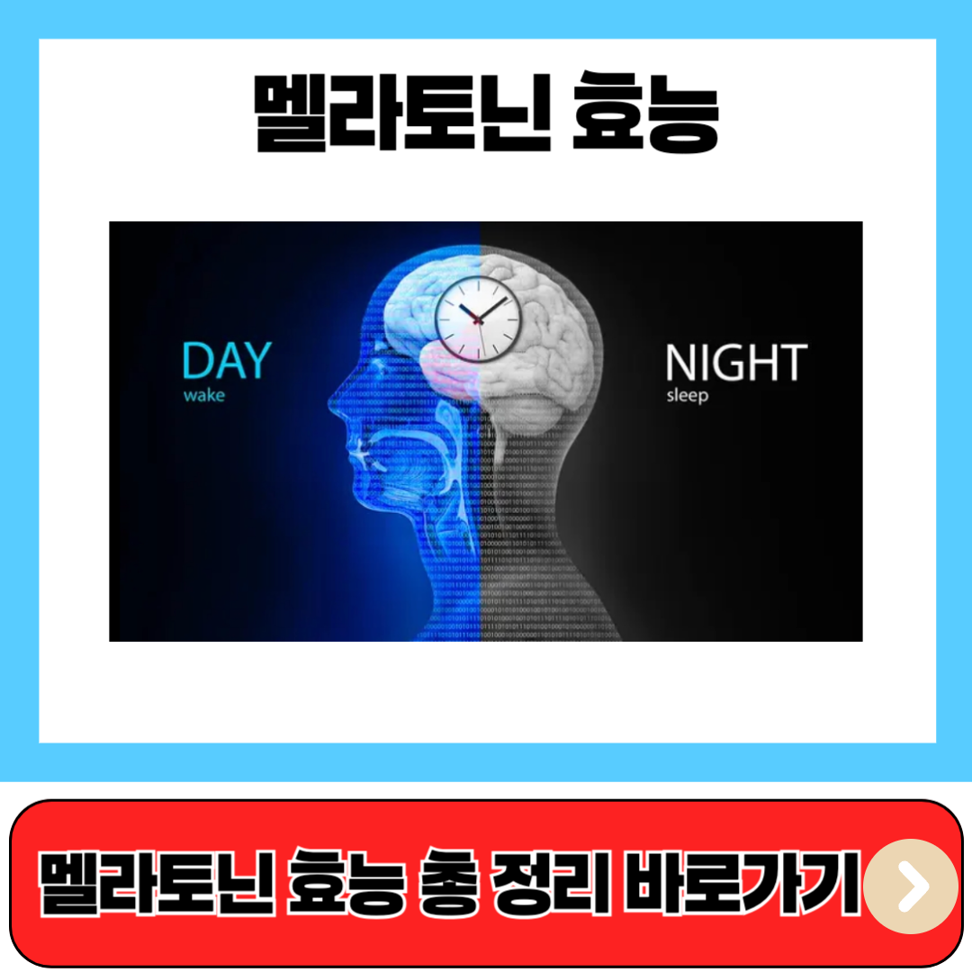멜라토닌 효능 총정리