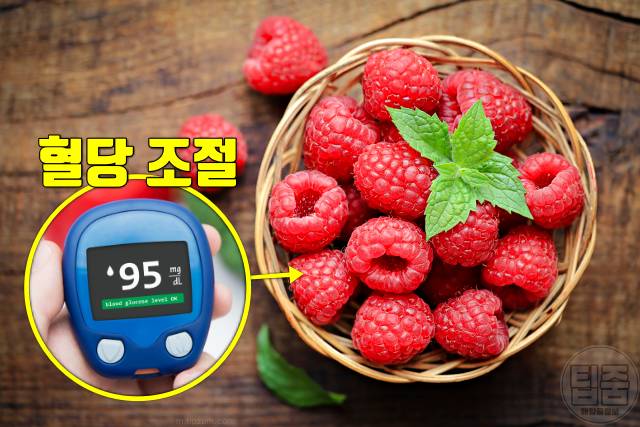 산딸기 어디에 좋은가요 산딸기 효능 혈당조절