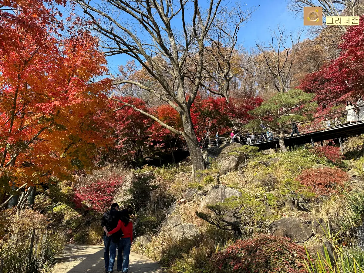 화담숲-내부-풍경-남녀-커플