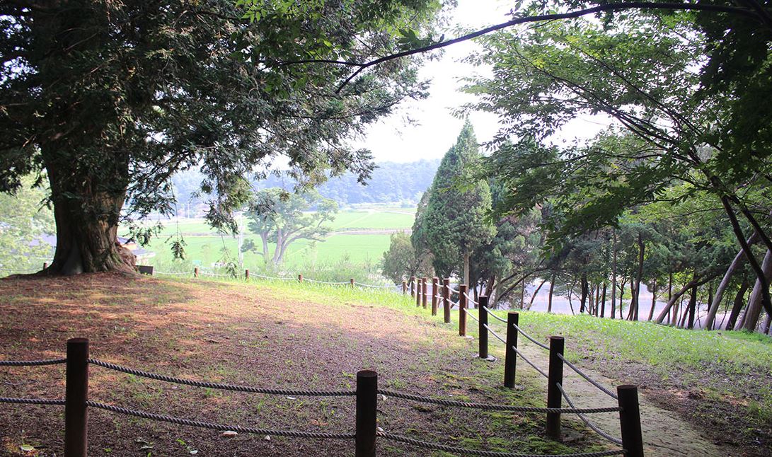 서산-유기방가옥-수선화축제