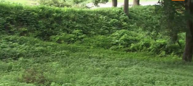 처인성 위치와 모습