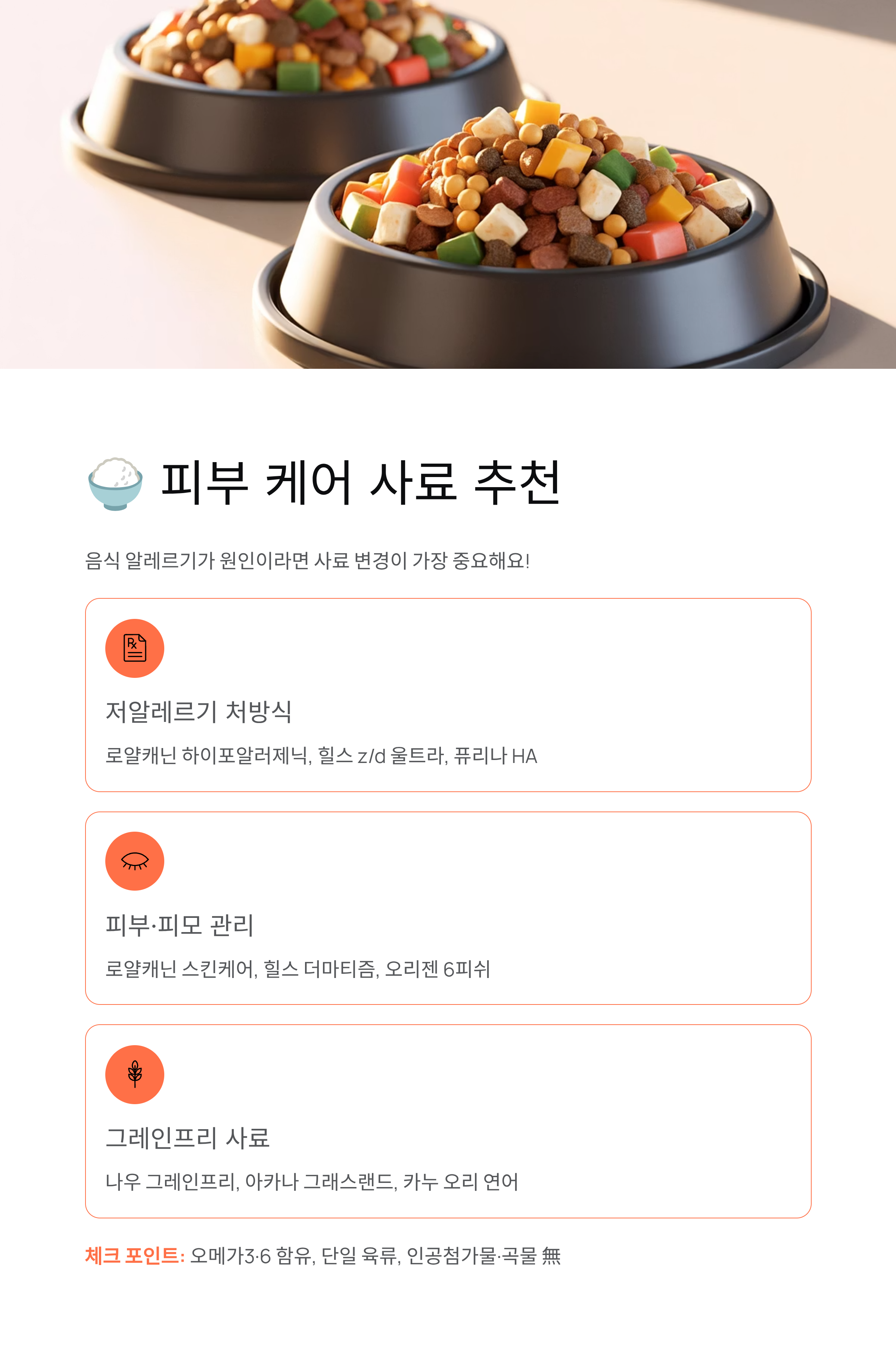 강아지 피부병 🐕 종류·증상·치료법·샴푸까지 완벽 정리!